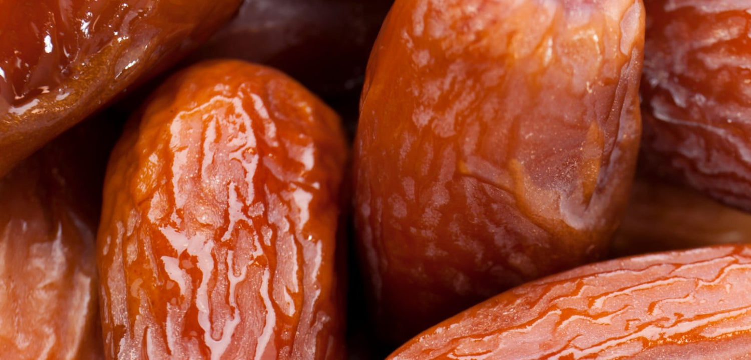 close up of tunisian dates